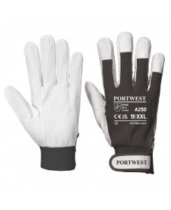 Tergsus Glove