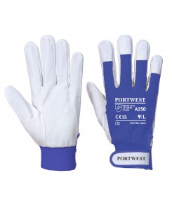 Tergsus Glove