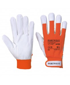 Tergsus Glove