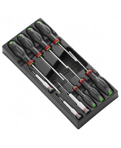 TOURNEVIS PROT2 MODULE T...
