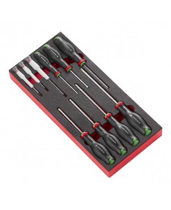TOURNEVIS PROT2 MODULE...