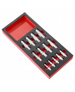 Module mousse douilles S