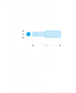 EMBOUT IMPACT TORX