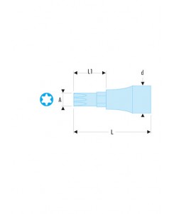 DOUIL-TVIS 1/2' LONG TX T55