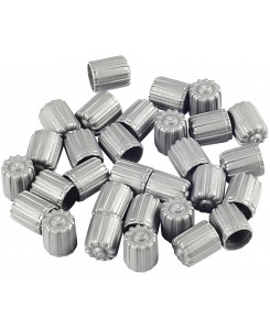 Lot de 25 capuchons de valves