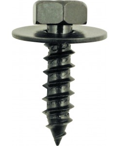 Vis en métal noire avec...