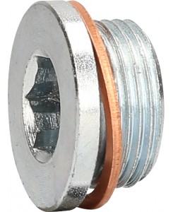 Bouchon de vidange M22 x...