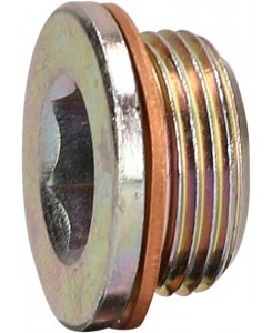 Bouchon de vidange M22 x...