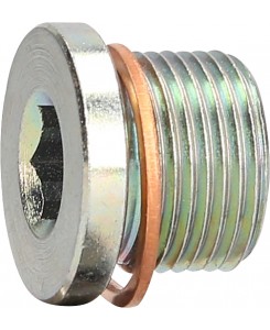 Bouchon de vidange M20 x...