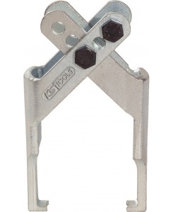 Paire de griffes fines...