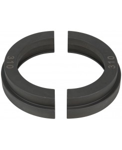 Paire de coquilles...