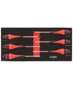 Module de tournevis...