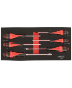 Module de tournevis...