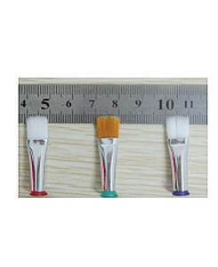 AIGUILLES BROSSES plat 1010...