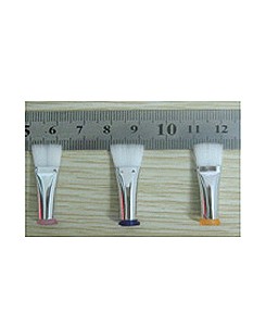 AIGUILLES BROSSES plat 1011...