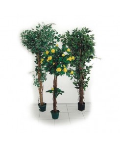 Ficus artificiel H 1800 mm