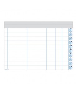 VISIOFLASH PLAN D'ACTION...