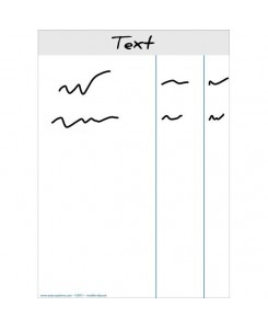 VISIOFLASH PLAN D'ACTION l...