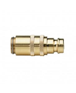 Coupling 09, with Plug 13