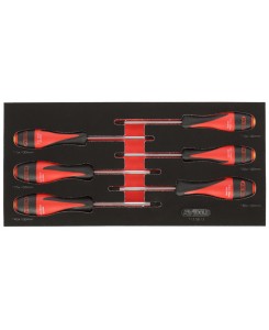 Module de tournevis...