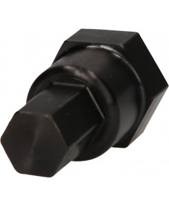 Embout pour vis de palier...