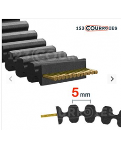 10 Courroie double dentée...