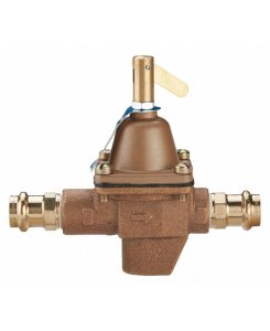 Feed water pressure regulator