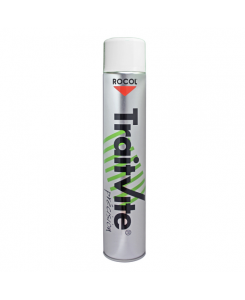 PEINTURE TRAITVITE BLANC...