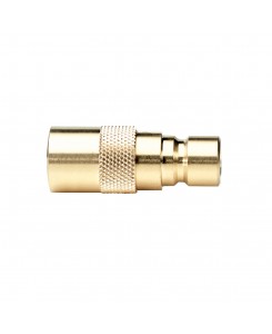 Coupling 20, with Plug 30,...