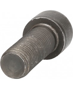 Vis M22 x 60 mm