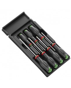 TOURNEVIS PROT2 MODULE TORX...