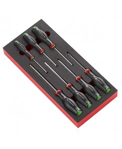 TOURNEVIS PROT2 MODULE...