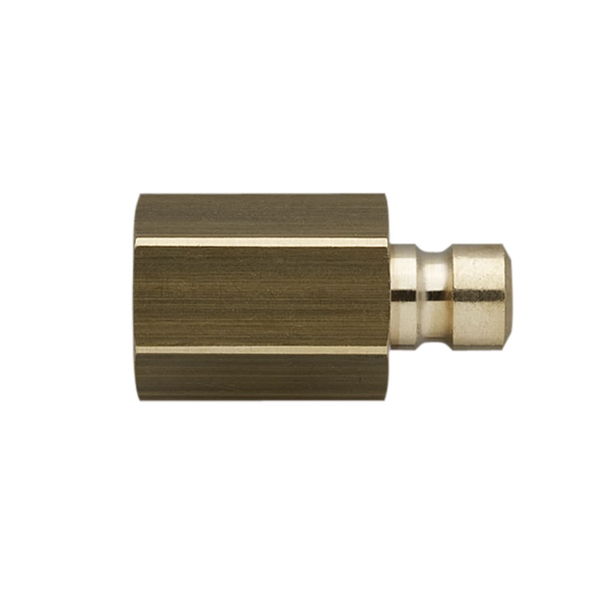 Nipple, Female  1,4