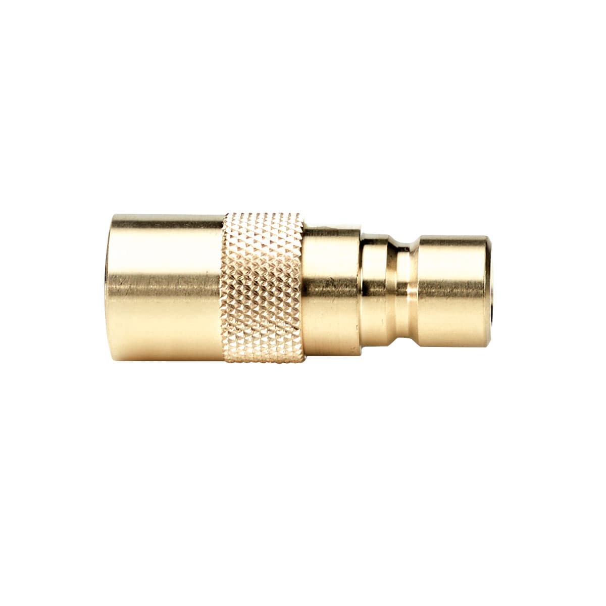 Coupling 30 with Plug 20, Valved