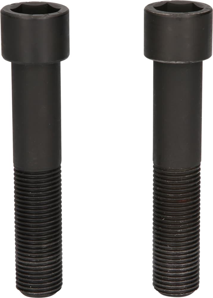 Vis de fixation, longues, M16x1,5, L. 96 mm - 2 pcs
