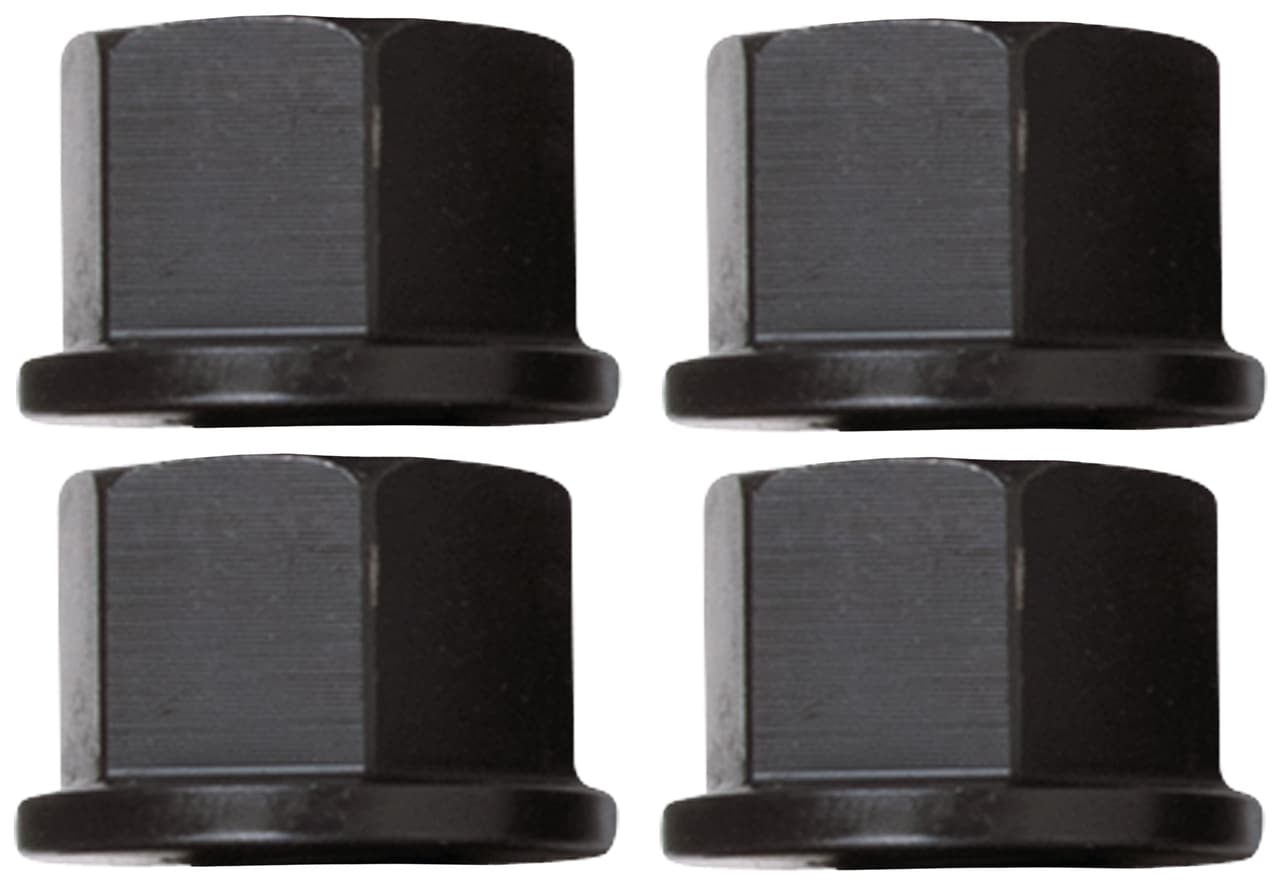 Jeu d'écrous M22x2,5, 4 pcs