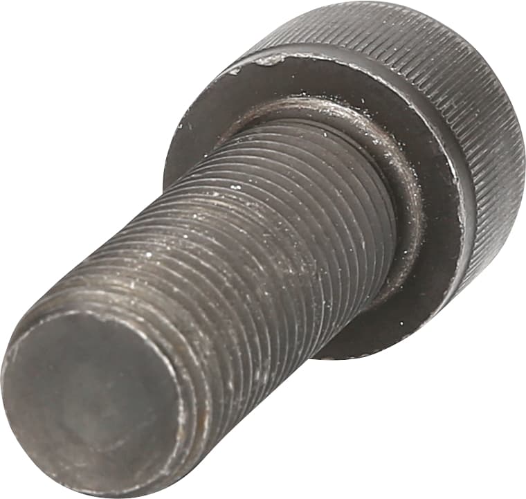 Vis M22 x 60 mm