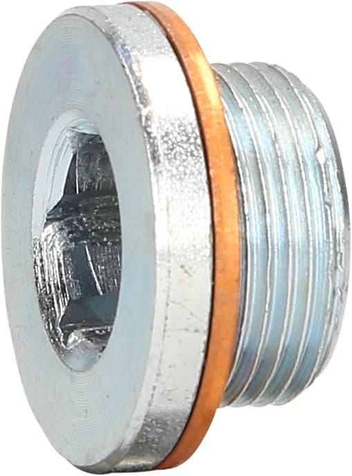 Bouchon de vidange M24 x 1,5 x 16 mm pour Renault