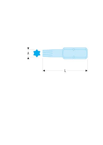 EMBOUT TORX