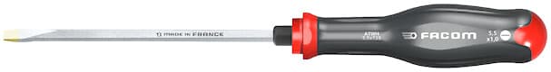 TOURNEVIS PROT2 FORGE 5.5X125 ECROU
