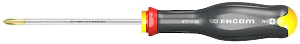 TOURNEVIS PROT2 PH 1X100