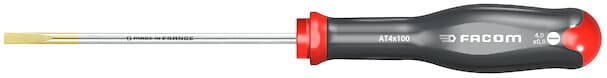 TOURNEVIS PROT2 FRAISE 4X100