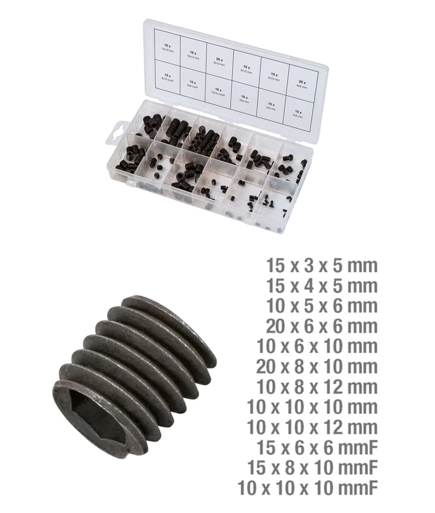 Assortiment de vis sans tête. 160 pcs