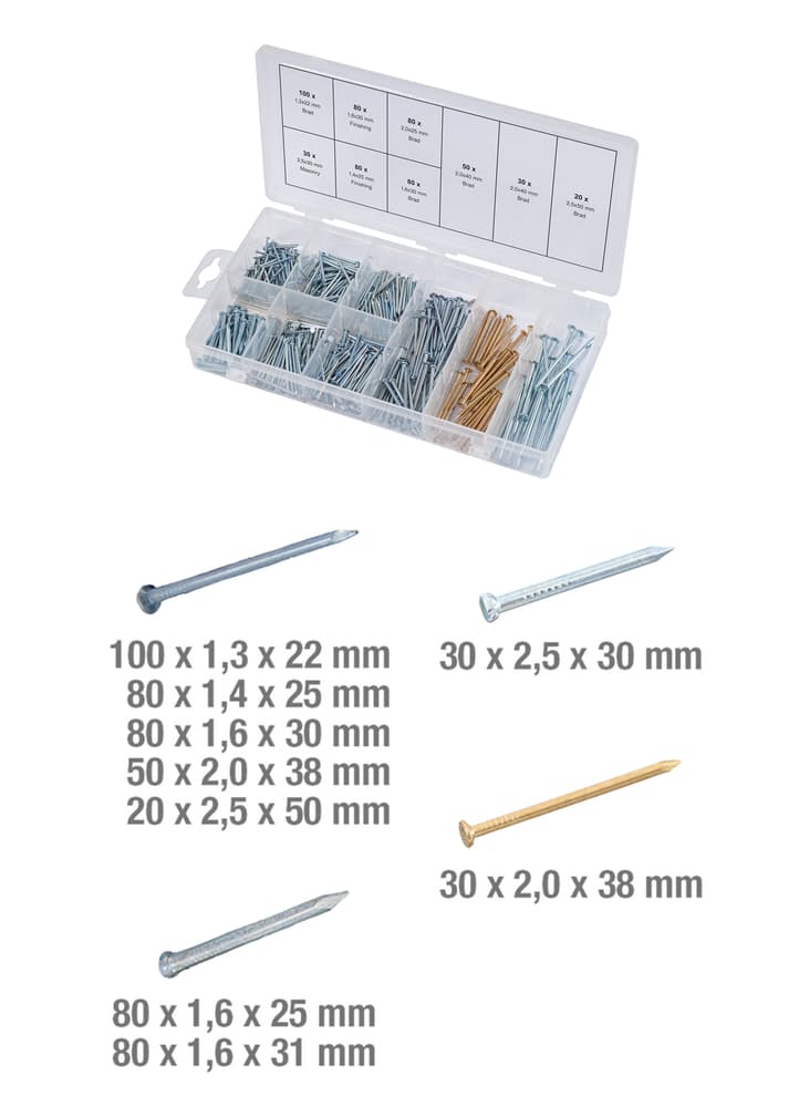Assortiment de clous. 550 pcs