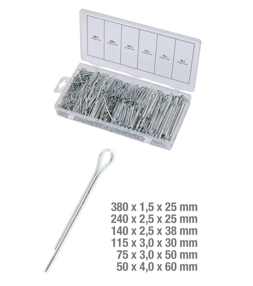 Assortiment de goupilles. 1000 pcs