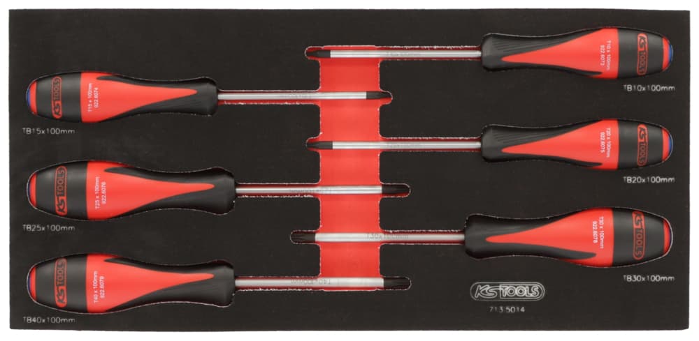 Module de tournevis ULTIMATE TORX® percée. 6 pièces