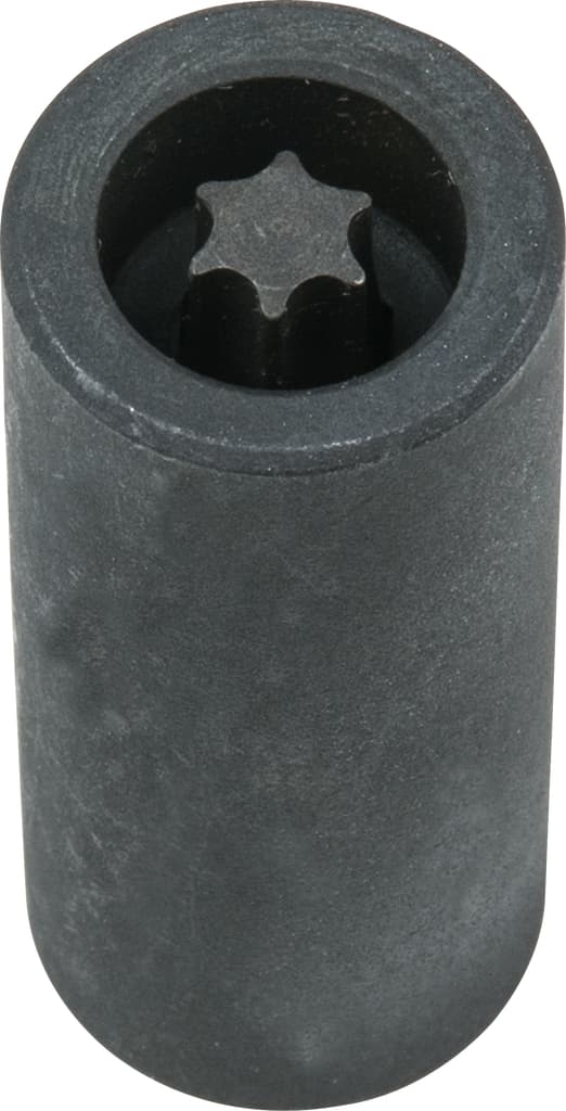 Douille pour vis TORX® pour disque de frein. T50