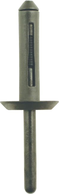 Rivets en plastique pour Ford. Opel et Chrysler - diam 6.3 mm - L. 55.5 mm -10