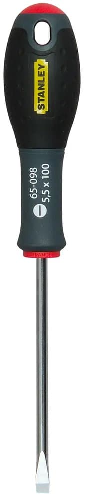 TOURNEVIS MECANICIEN 5,5X100MM FATMAX