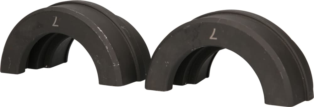 Paire de coquilles diam 74 mm